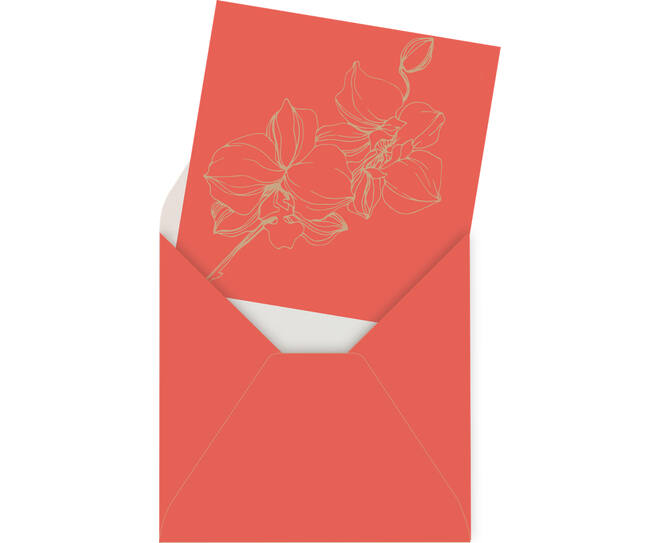 Boho, Card Set